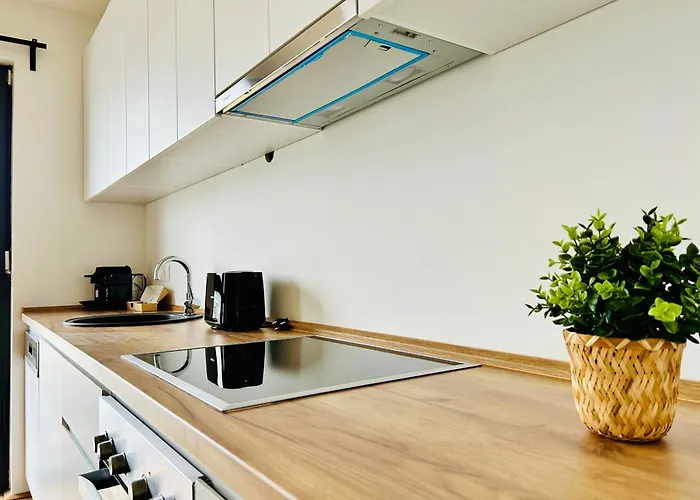 Modern With Balcony & Free Parking - Nearby Metro וינה